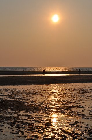 DSC_0125