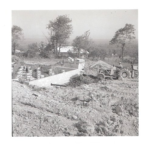 Original image