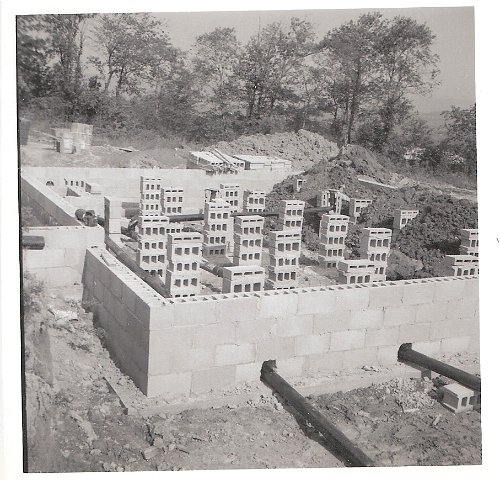 Original image